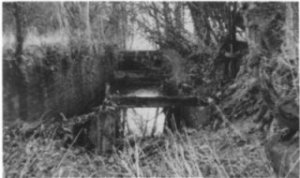 West Grinstead Lock overgrown in Vegetation in the 1950's